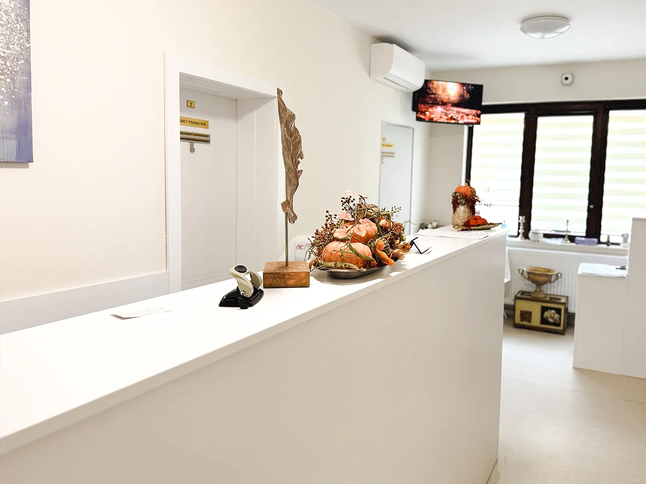 Clinica Artemis Centru de Cercetare si Diagnostic Oradea