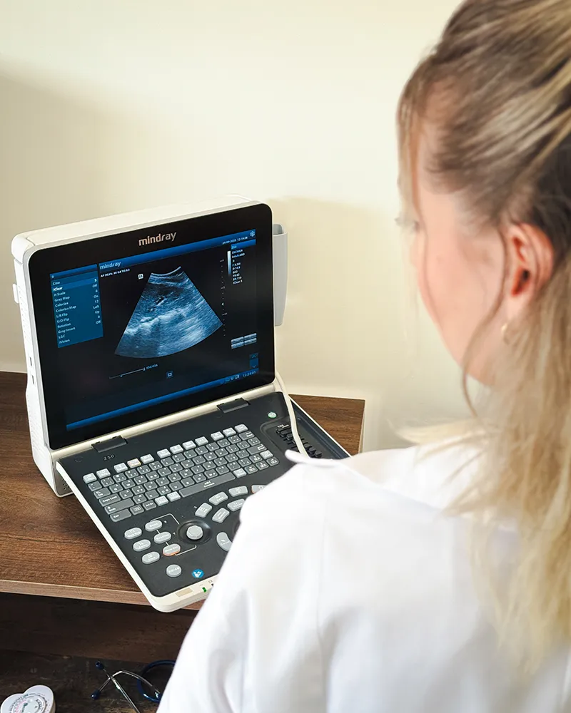 Dr Hocopan Ozana medic specialist nefrologie oradea clinica artemis medic nefrolog oradea