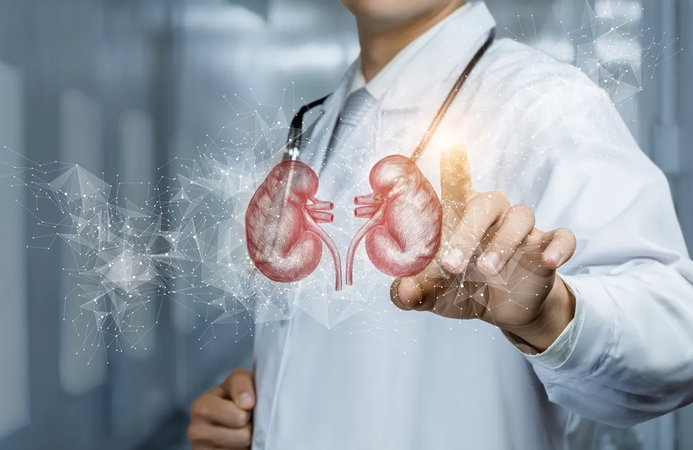 clinica Nefrologie​ oradea artemis therapy medic nefrolog oradea