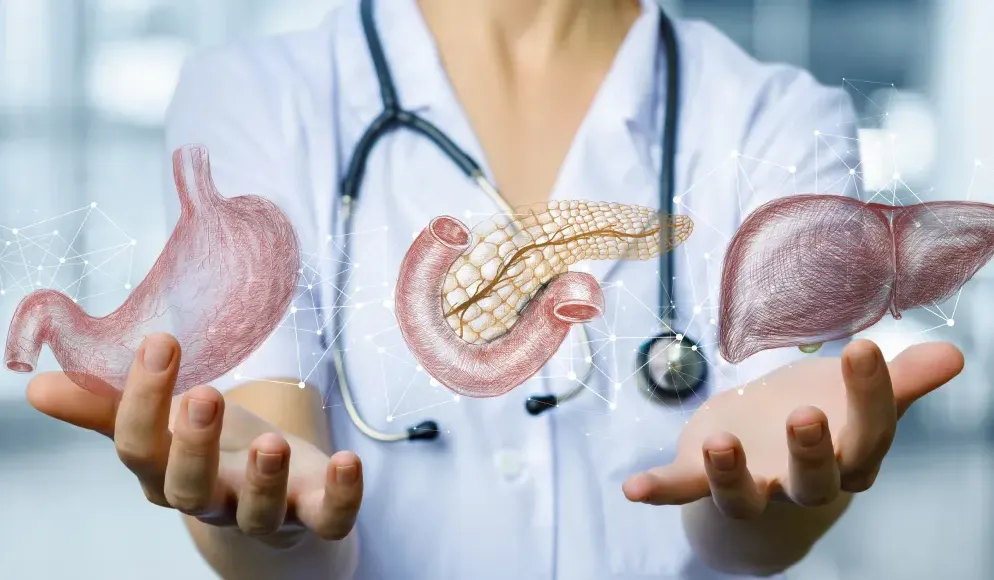 medicina interna oradea clinica artemis therapy medic internist